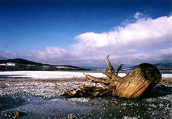 Obrázek - Šumava srdce Evropy