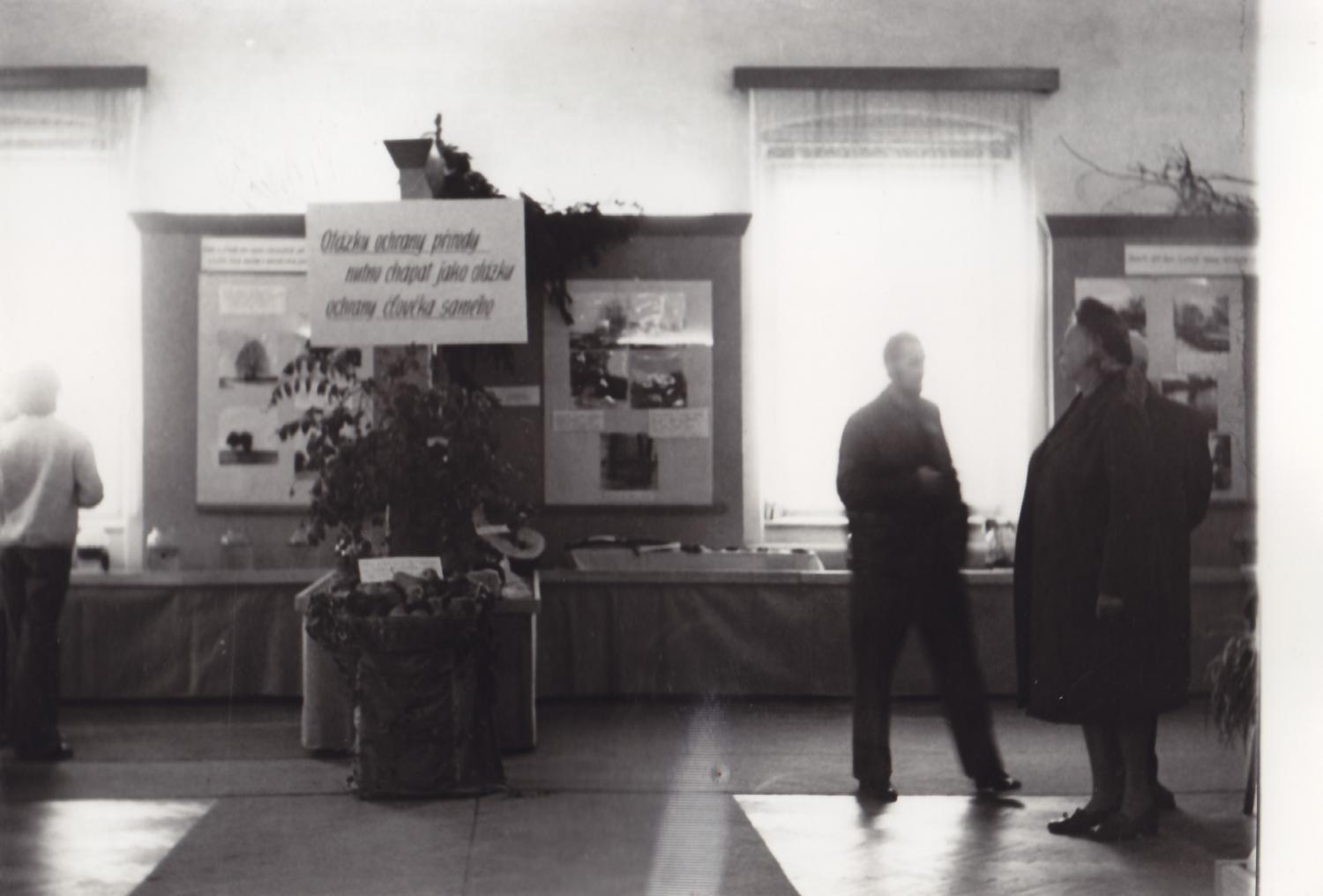 Fotografie z expozice výstavy - Výstava ovoce, květin a zeleniny