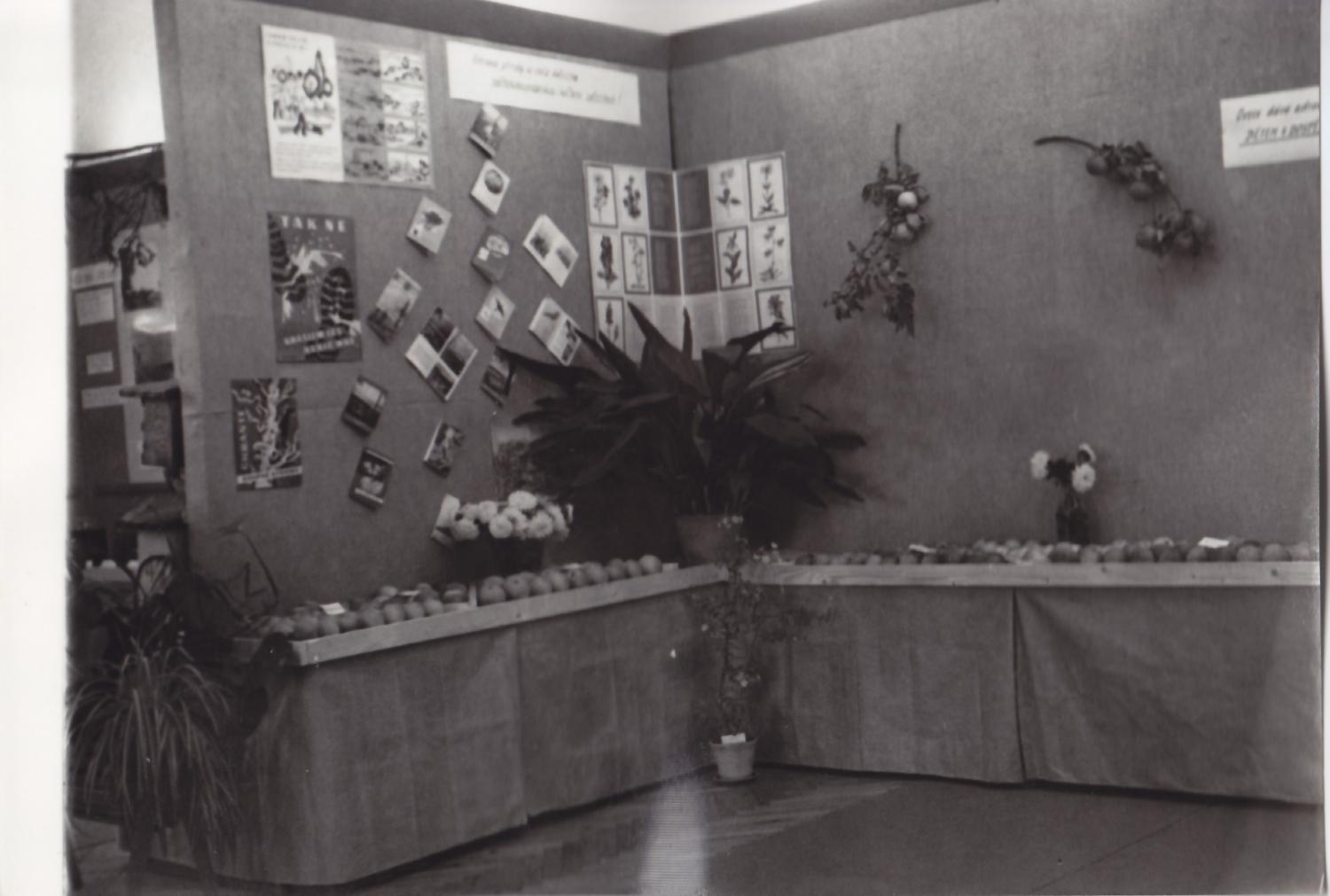 Fotografie z expozice výstavy - Výstava ovoce, květin a zeleniny