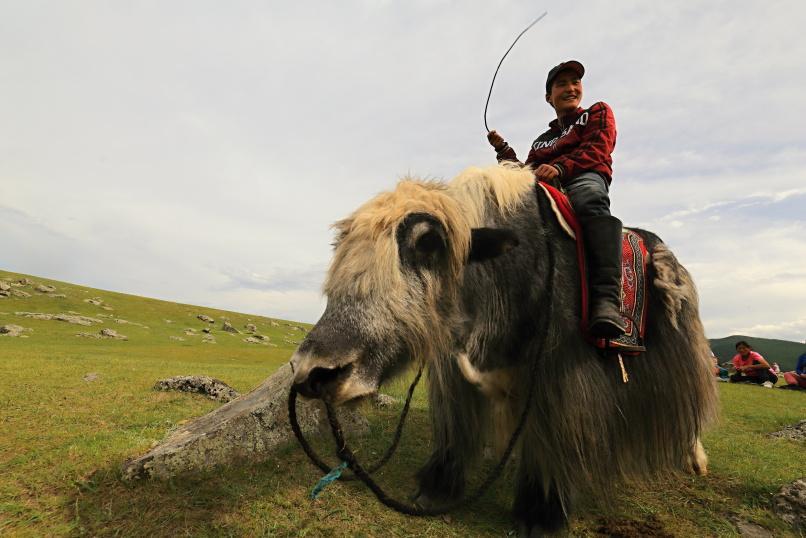 Obrázek - Mongolsko - Svoboda a volnost