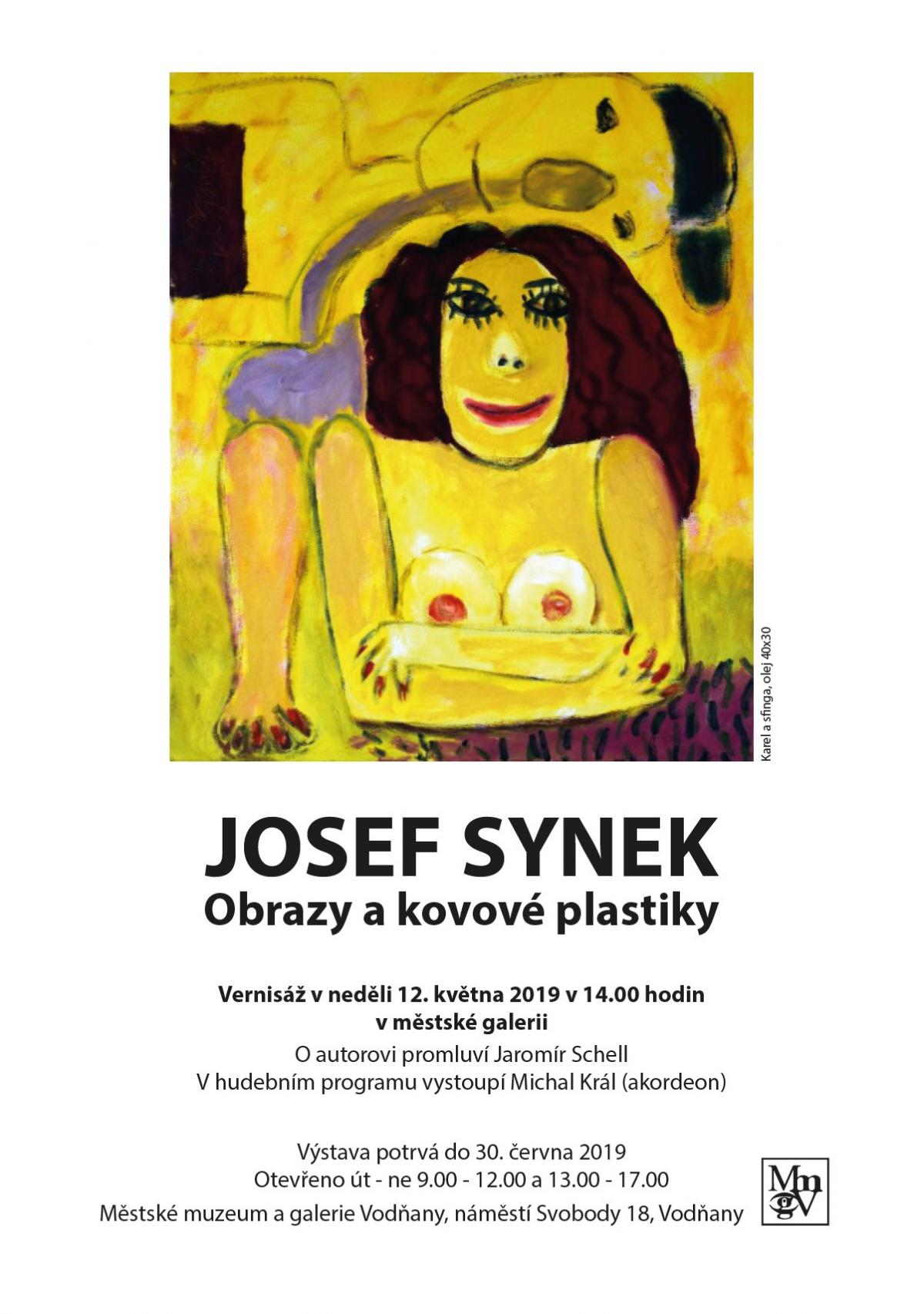 Plakát - Josef Synek
