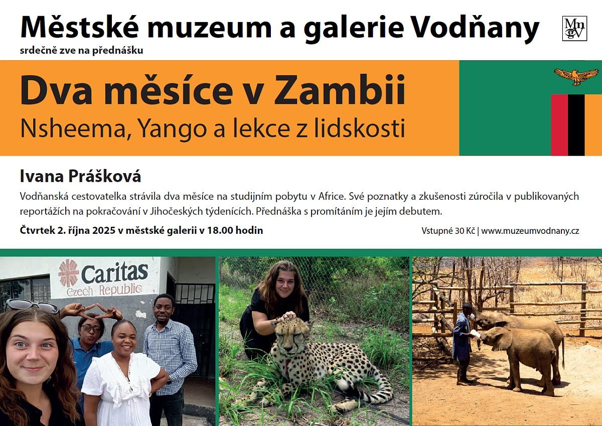 Plakát - Dva měsíce v Zambii: Nsheema, Yango a lekce z lidskosti